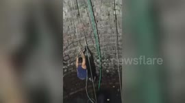 Locals stage daring rescue of bull trapped in well