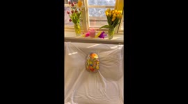 Is this the best Easter egg? Goldendoodle puppy snoozes inside egg