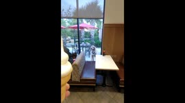 Stanley Devours Ice Cream in One Bite