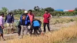 Crocodiles escape from farm causing concern among villagers