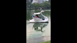 Monitor lizard chases park visitors in pedalo