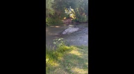 Boy Floats Down River in a Life Jacket
