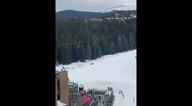 Moose chases dog walker at ski resort in Colorado
