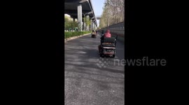 Golden Retriever's Ride on a Tricycle in Hebei, China