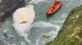 Coast guard rescue dog stranded in Cork, Ireland