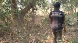 Shocked villagers find stolen women's underwear abandoned in forest in Thailand
