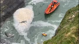 Coast Guard Rescue Dog After She Falls Into Sea in Baltimore, Ireland