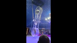 Brazilian acrobat falls several feet in terrifying stunt fail in Russia circus performance