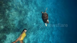 10. Woman freediver swimming in open water sea with sea turtle in crystal blue water on Bali