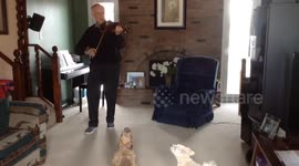 Most Musical Animals