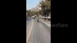Man Spotted to Ride Electric Bike with Flock of Pigeons in Hebei, China