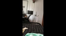 Electric fan takes on a life of its own hopping across room