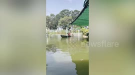 Dog pushes boat across flood while grandmother paddles