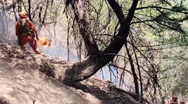 Chinese firefighters dodge flaming boulder in dramatic forest fire rescue