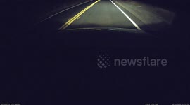 Accident: Deer Bolts Out In Front of Oncoming Car and Gets Hit