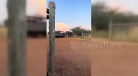An angry elephant attacked tourists in Bojanala, South Africa