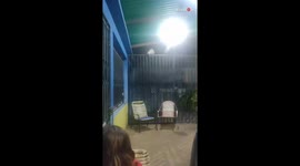 This audacious cat was born to be a fearless firefighter