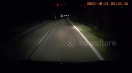 Accident: Deer Dashes Out In Front of Vehicle and Gets Hit
