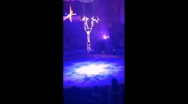 Gymnast Elizaveta Chumakova survives fall during Novosibirsk circus performance