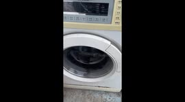 Owner converts washing machine to kennel for his pet dog
