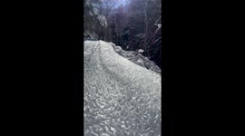 'Hoar Frost!' - Enchanting sight of delicate ice crystals cosplaying as 'broken glass'