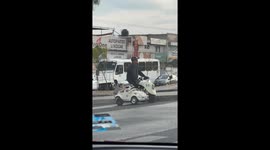 Pug Rides in Motorbike Sidecar