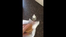 Marley the Burger Inhaler