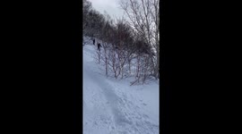 Skier Skis Up Tree and Falls Off