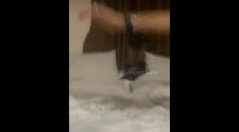 Jumping ferret, playing with ferret, fun time with my ferret