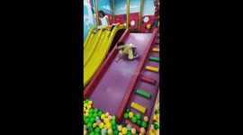 Rolled down the slide.