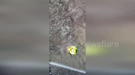 Elderly hiker rescued after going missing in Italy's Como