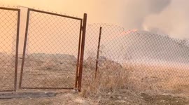 Herd of deer escapes fire caused by arson in Primorsky Krai nature reserve