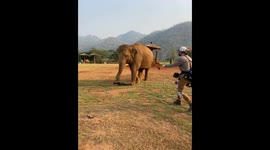 Trunk and tripod: Photographer encounters a tripod-obsessed baby elephant in Thailand