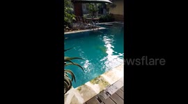 Indonesia: Strong Earthquakes Strike Off East Java 5