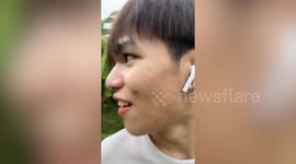 Flock of ducks chase jogger along street
