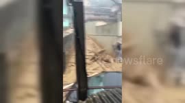 Landslide after heavy rains in Petropolis of Rio de Janeiro, Brazil