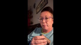 My dog wants my snack cake!