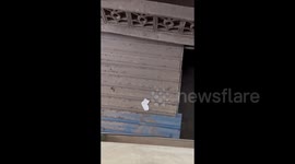 Man Uses Lobster To Retrieve Fallen Sock in Guangxi, China