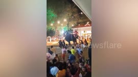 Fighting elephants injure devotees at Hindu festival in India