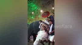 Fighting elephants run amok injuring worshippers in India