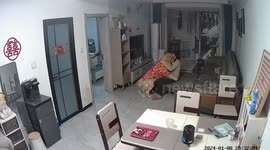 Golden retriever offers comfort to woman after her argument with boyfriend