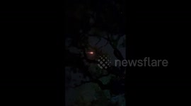 US: SpaceX Launches Falcon 9 Rocket With 23 Starlink Satellites From Kennedy Space Center