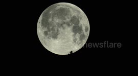Stunning footage of full 'worm moon' setting behind trees in Switzerland