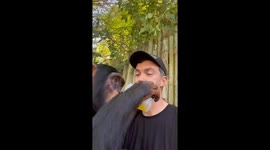 Animal caretaker shares sip of juice with friendly chimpanzee