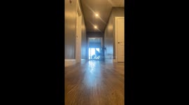 Playful zoomies take a funny turn as Loki the dog takes a tumble