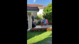 Pet tortoise makes off with family's clothes rack