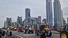 Scores say 'Save British Farming' in astonishing sight as tractors cross Vauxhall Bridge