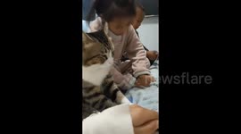 Cat and Children Team Up for Owner's Massage in Liaoning, China