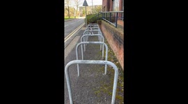 Border Collie Parkours on Bike Bars