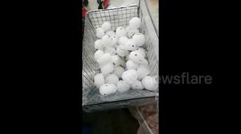 Egg-sized hailstones smash cars in eastern China